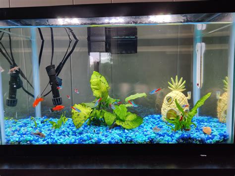 fish tank reddit|reddit fishtank season 2.